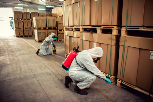 Best Bed Bug Extermination  in Lithia Springs, GA