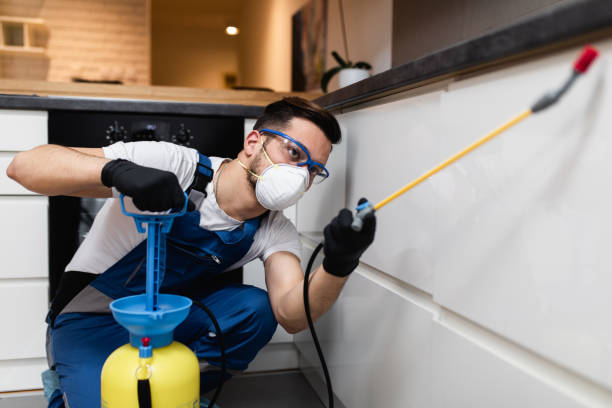 Best Best Pest Control Companies  in Lithia Springs, GA