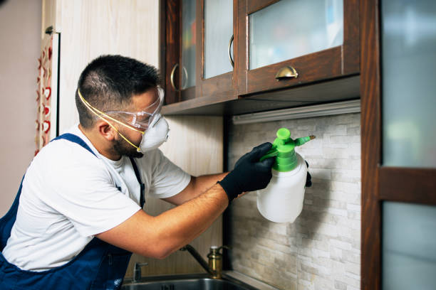 Trusted Lithia Springs, GA Pest Control Experts