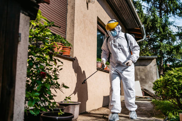 Best Flea Control Services  in Lithia Springs, GA
