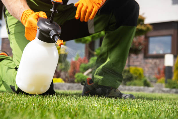 Best Termite Control Services  in Lithia Springs, GA
