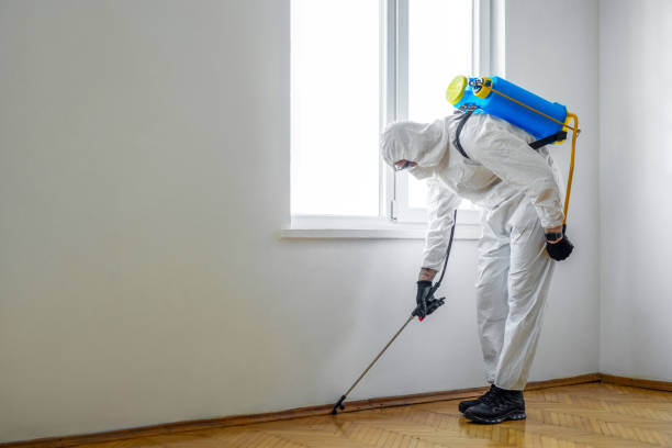Best Insect Control  in Lithia Springs, GA