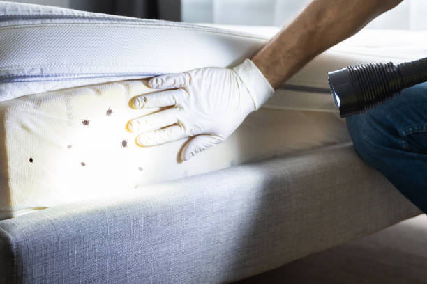 Best Pest Control Treatment  in Lithia Springs, GA