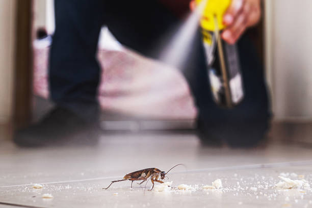 Professional Pest Control in Lithia Springs, GA