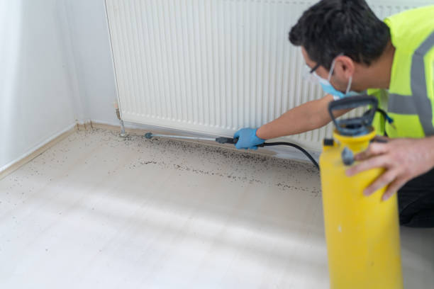Flea Control Services in Lithia Springs, GA