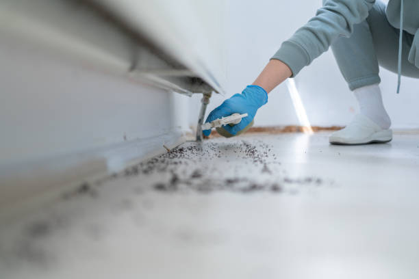 Best Affordable Pest Control Services  in Lithia Springs, GA