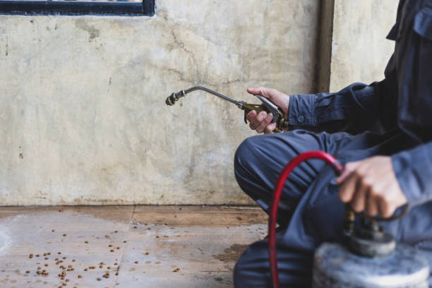 Best Pest Inspection Near Me  in Lithia Springs, GA