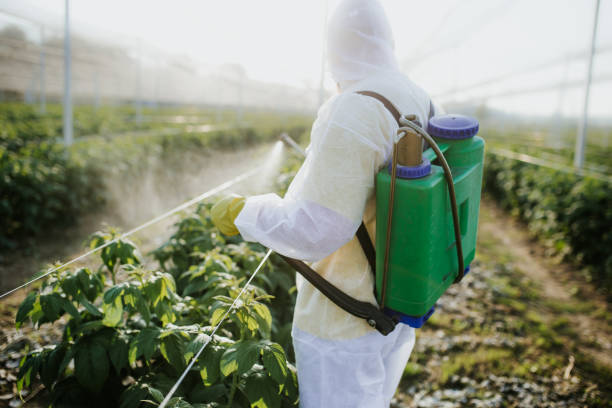 Best Best Pest Control Companies  in Lithia Springs, GA